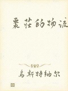 枣庄的物流专线封面