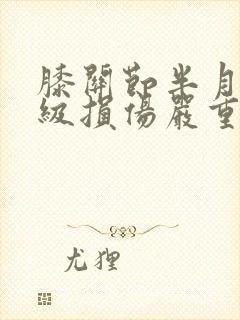 膝关节半月板二级损伤严重吗