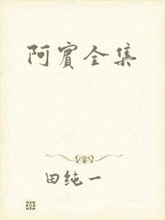阿宾全集封面