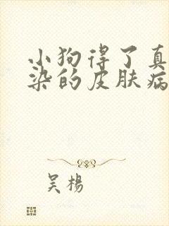 小狗得了真菌感染的皮肤病怎么办