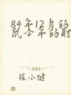 84年12月的鼠今年的财运怎么样