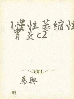 l慢性萎缩性性胃炎c2