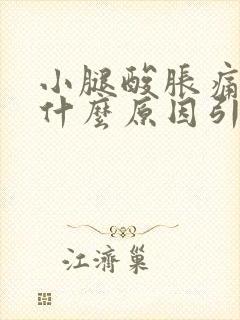 小腿酸胀痛麻木什么原因引起的