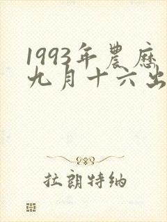 1993年农历九月十六出生人的命运