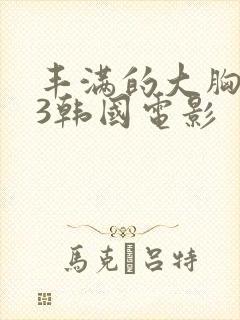 丰满的大胸女友3韩国电影封面