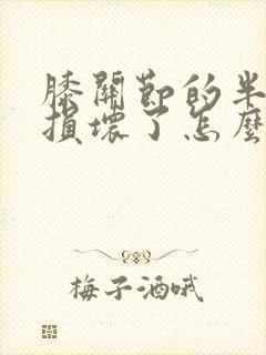 膝关节的半月板损坏了怎么治