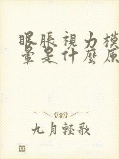 眼胀视力模糊头晕是什么原因