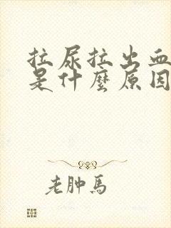 拉尿拉出血尿了是什么原因