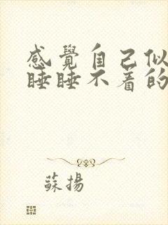 感觉自己似睡非睡睡不着的感觉封面