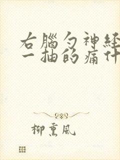 右脑勺神经一抽一抽的痛什么原因