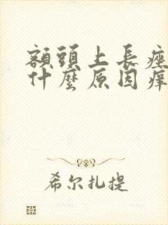 额头上长痤疮是什么原因痒