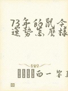 73年的鼠今年运势怎么样