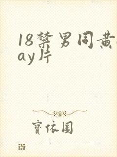 18禁男同黄gay片封面