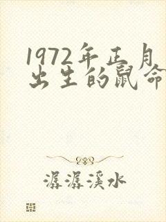 1972年正月出生的鼠命运如何封面