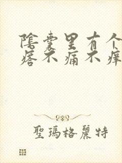 阴囊里有个硬疙瘩不痛不痒