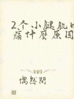 2个小腿肌肉酸痛什么原因