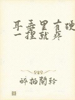 耳垂里有硬疙瘩一捏就疼封面