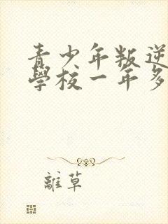 青少年叛逆封闭学校一年多少钱