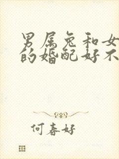 男属兔和女属蛇的婚配好不好封面