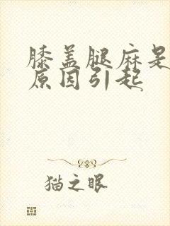 膝盖腿麻是什么原因引起封面