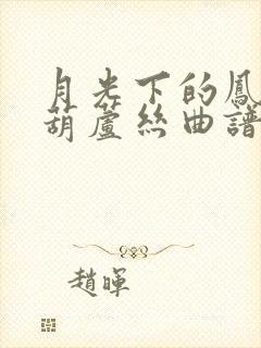 月光下的凤尾竹葫芦丝曲谱c调完整版封面