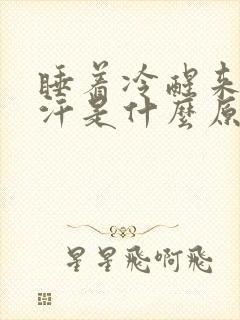 睡着冷醒来热出汗是什么原因封面