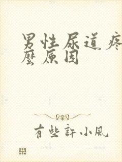 男性尿道疼是什么原因封面