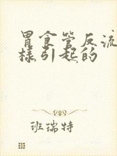 胃食管反流是怎样引起的