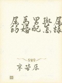 属马男与属龙女的婚配怎样