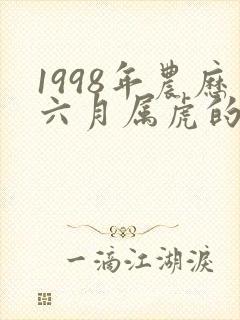 1998年农历六月属虎的是什么命封面
