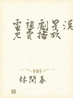 电视剧星汉灿烂免费播放