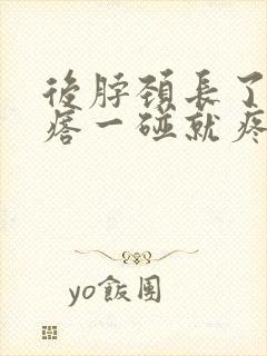 后脖颈长了个疙瘩一碰就疼封面