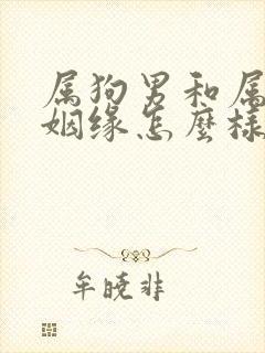 属狗男和属猴女姻缘怎么样封面