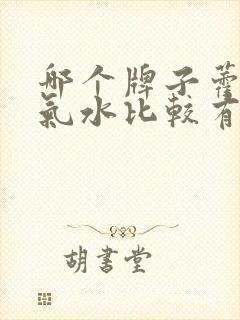 哪个牌子藿香正气水比较有效