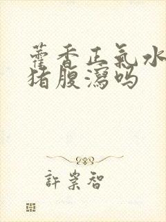 藿香正气水治仔猪腹泻吗