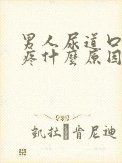 男人尿道口有点疼什么原因封面