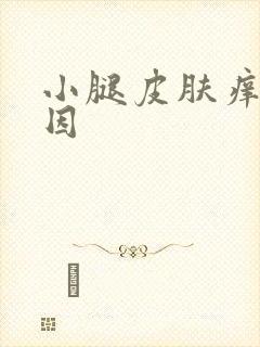 小腿皮肤痒的原因