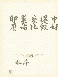 卵巢衰退中医怎么治比较好