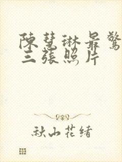 陈慧琳最惊艳的三张照片封面