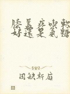 膝盖疼吃软骨素好还是氨糖好