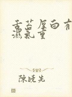 舌苔厚白有齿痕湿气重