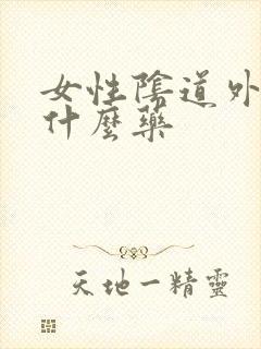 女性阴道外痒用什么药