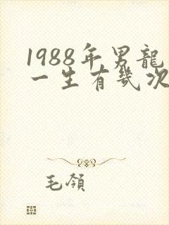 1988年男龙一生有几次婚姻
