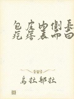 包皮内侧长小肉疙瘩表面白色一颗一颗