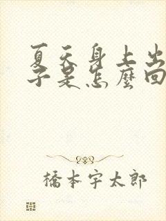 夏天身上出红疹子是怎么回事