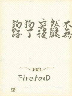 狗狗突然不能走路了后腿无力封面