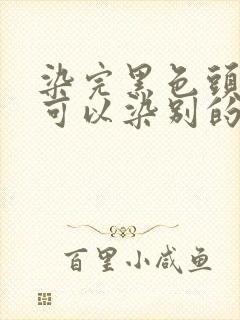 染完黑色头发还可以染别的颜色吗