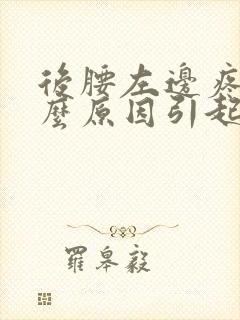 后腰左边疼是什么原因引起的封面