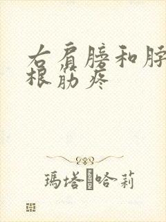 右肩膀和脖子一根筋疼封面