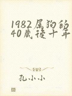 1982属狗的40岁后十年大运运程